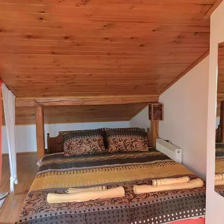 студио албена Apartment