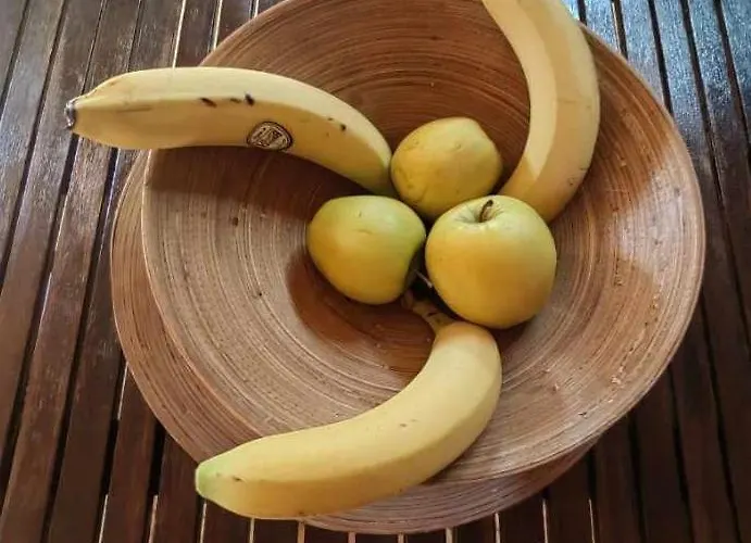 студио албена Lejlighed