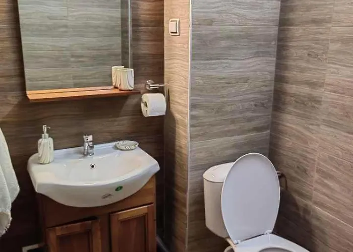 студио албена *