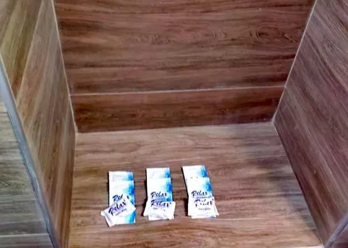 студио албена *