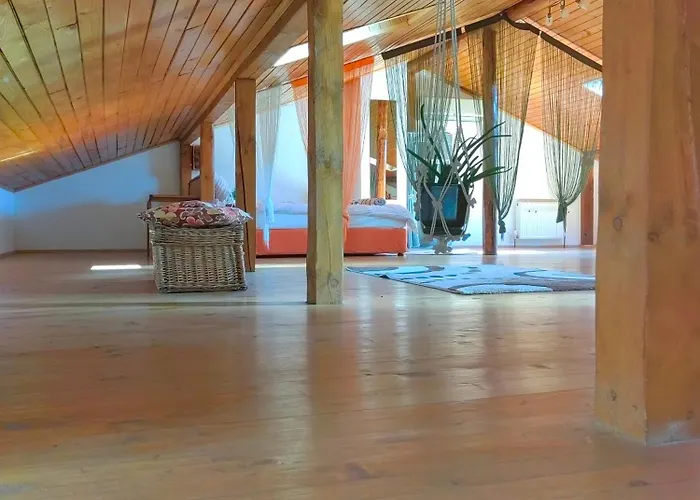 студио албена Veliko Tarnovo